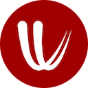Windy.com logo